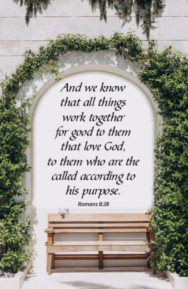 MPS_WeeklyChurchBulletins_2026_web-24